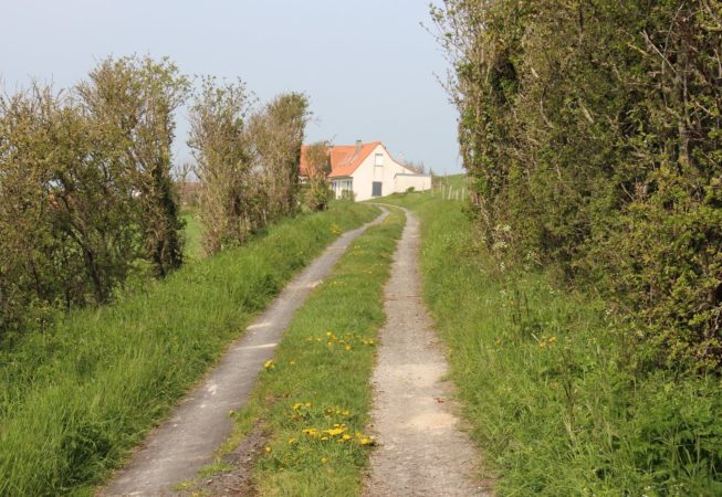 chemin des vaches hervelinghen